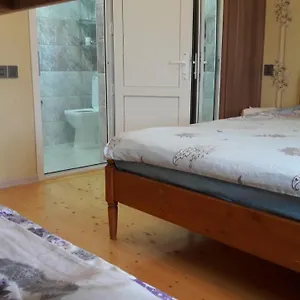 بيت ضيافة هاسانوفز, Shagan